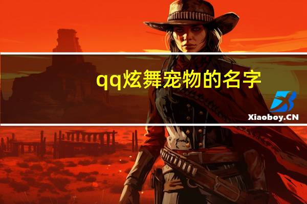 qq炫舞宠物的名字
