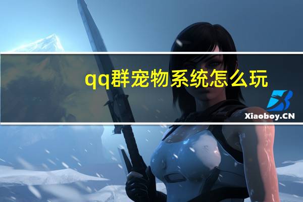 qq群宠物系统怎么玩