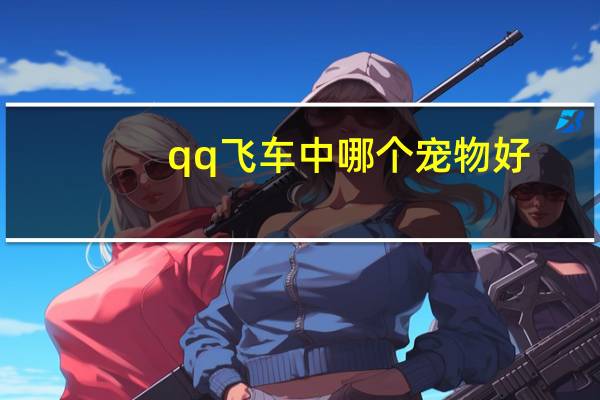 qq飞车中哪个宠物好