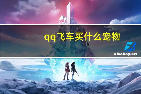 qq飞车买什么宠物