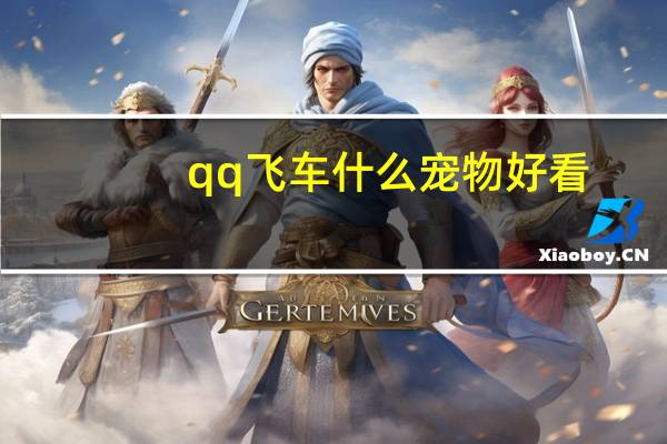 qq飞车什么宠物好看