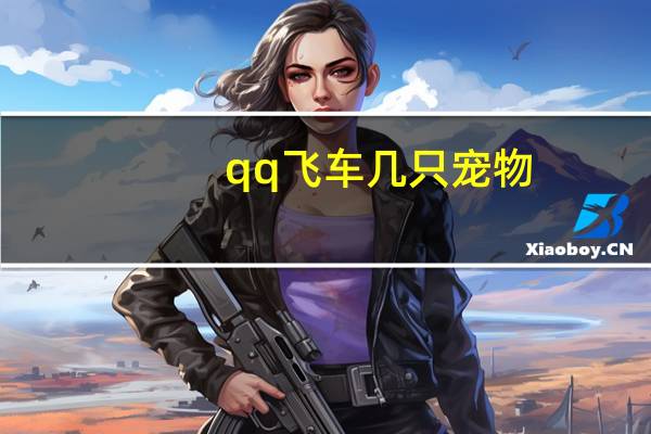 qq飞车几只宠物