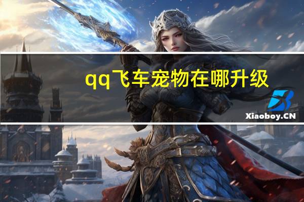 qq飞车宠物在哪升级
