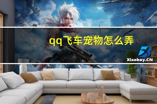 qq飞车宠物怎么弄