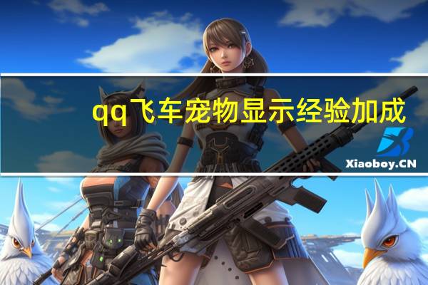 qq飞车宠物显示经验加成