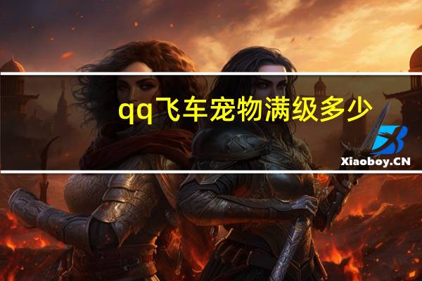 qq飞车宠物满级多少