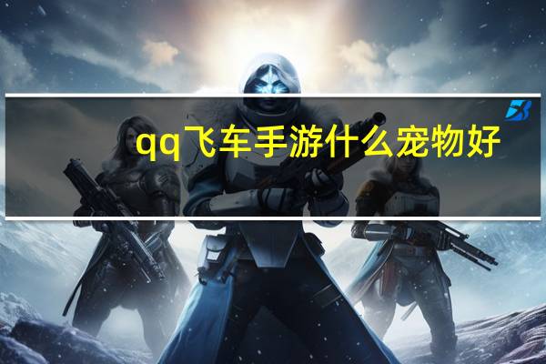qq飞车手游什么宠物好