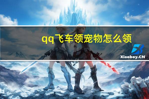 qq飞车领宠物怎么领