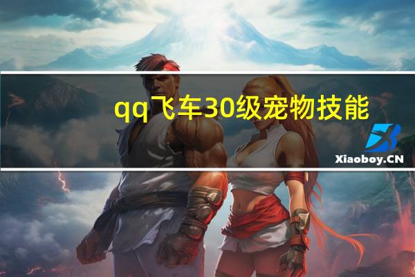 qq飞车30级宠物技能