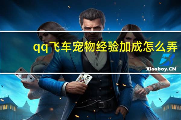 qq飞车宠物经验加成怎么弄（qq飞车宠物经验加成）