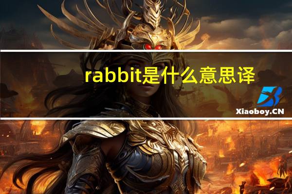 rabbit是什么意思译