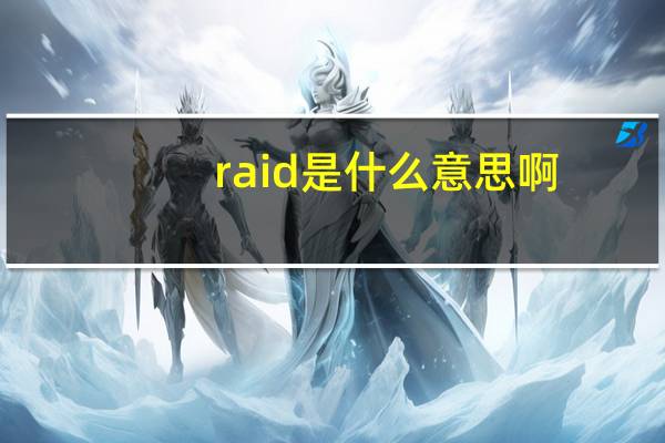 raid是什么意思啊（RAID是什么意思）
