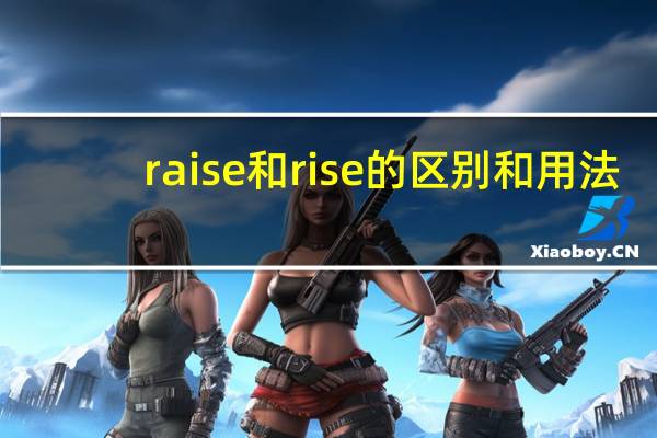 raise和rise的区别和用法