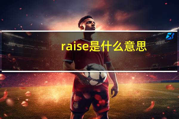 raise是什么意思