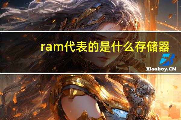 ram代表的是什么存储器