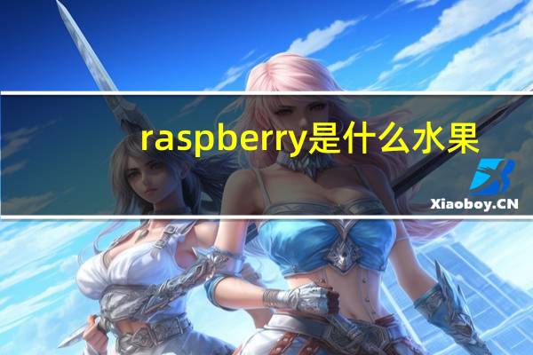 raspberry是什么水果