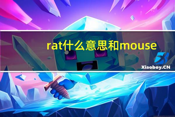 rat什么意思和mouse