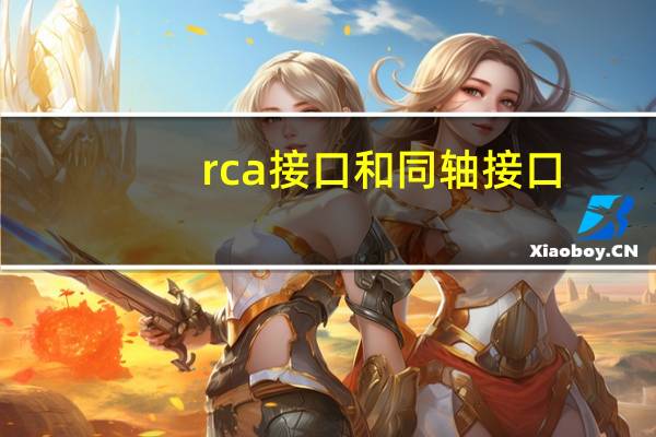 rca接口和同轴接口（rca接口）
