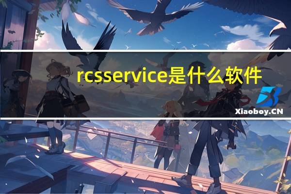 rcsservice是什么软件