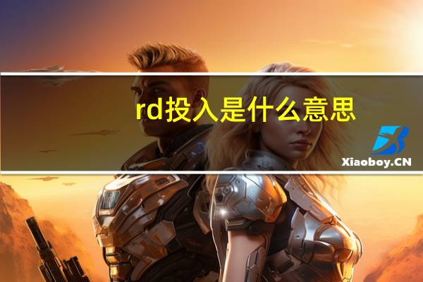 rd投入是什么意思