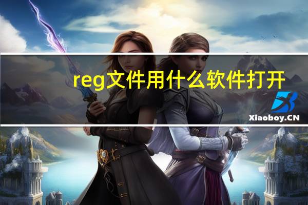 reg文件用什么软件打开（reg文件）