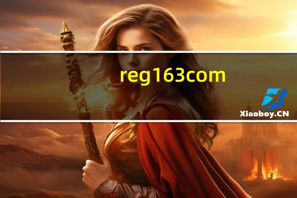 reg  163 com