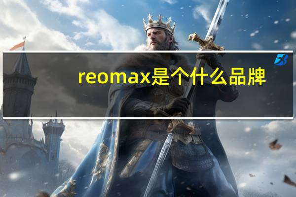 reomax是个什么品牌