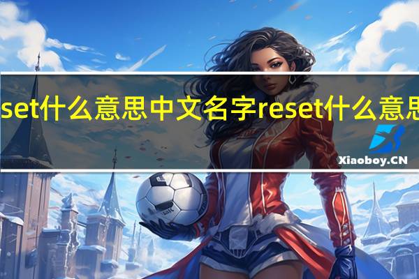 reset什么意思中文名字 reset什么意思汽车上