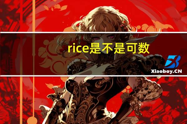 rice是不是可数