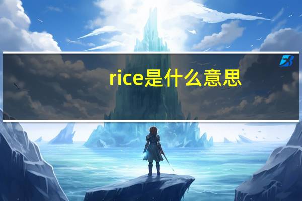 rice是什么意思（nice是什么意思）