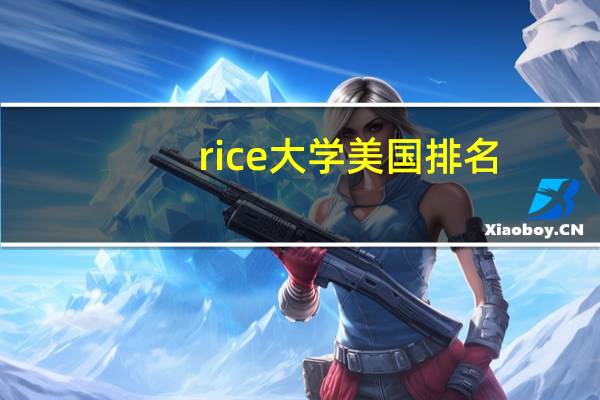 rice大学美国排名