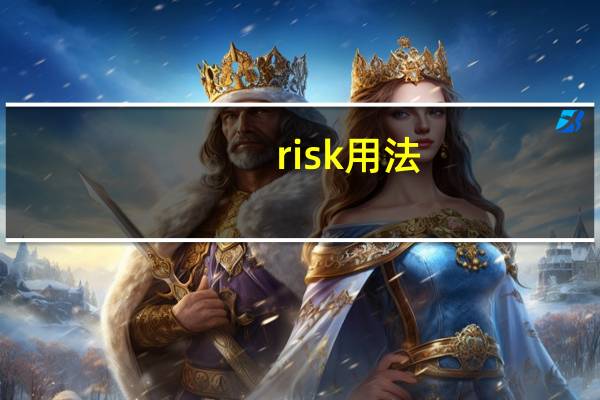 risk用法