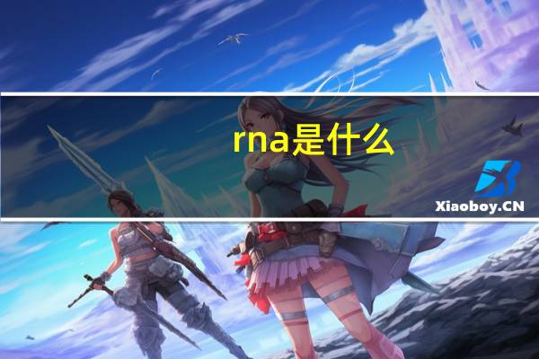 rna是什么