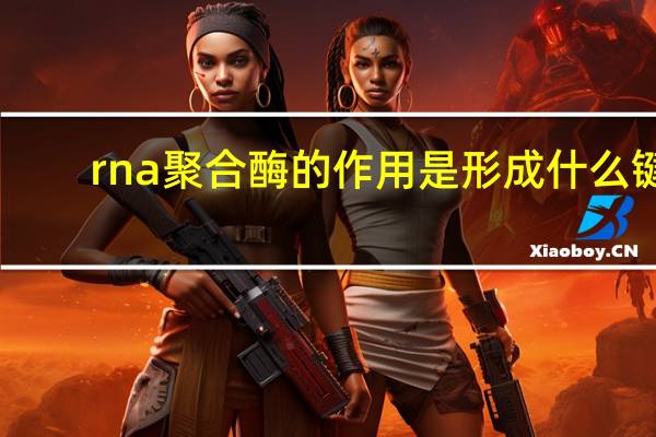 rna聚合酶的作用是形成什么键(rna聚合酶的作用)