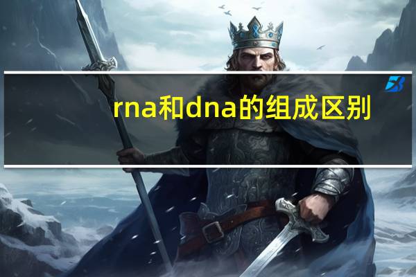 rna和dna的组成区别