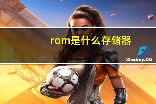 rom是什么存储器