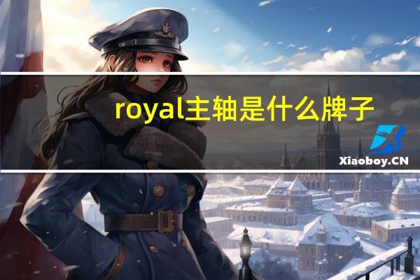 royal主轴是什么牌子