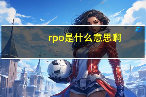 rpo是什么意思啊（rpo是什么意思）