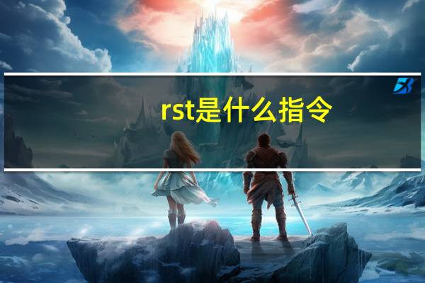 rst是什么指令