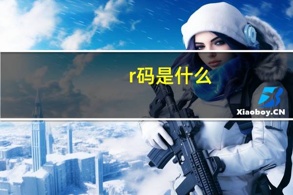 r码是什么