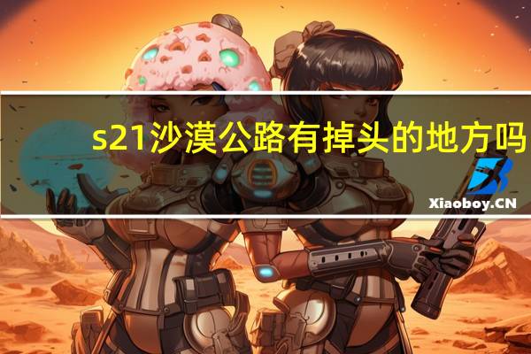 s21沙漠公路有掉头的地方吗