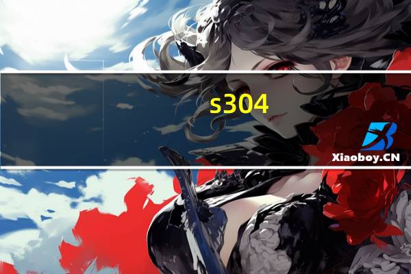 s304