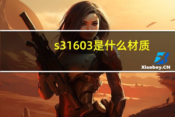 s31603是什么材质