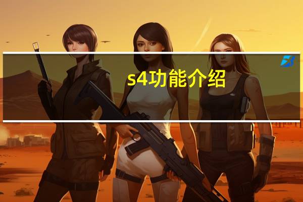 s4功能介绍（s4开发者选项在哪里）