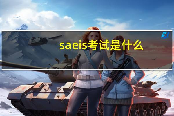 saeis考试是什么