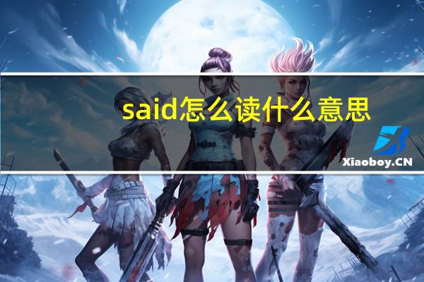 said怎么读什么意思（said怎么读）