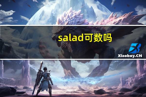 salad 可数吗