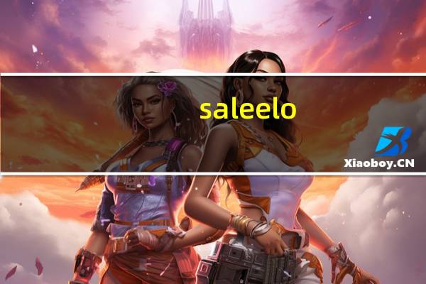 saleelo（salerno简介）