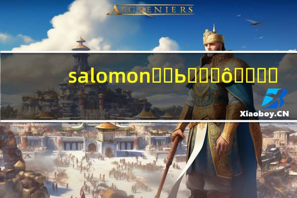 salomon��Ь��ʲô����