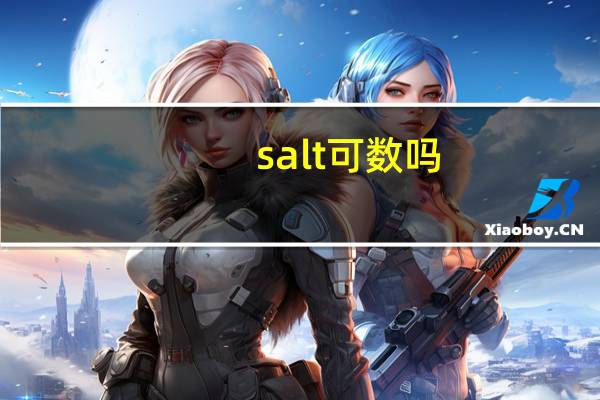 salt可数吗